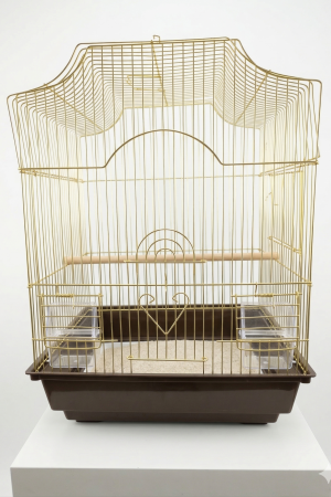 C10 GOLDEN PİRİNÇ KAFES