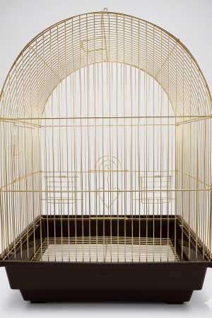 C11 GOLDEN PİRİNÇ KAFES